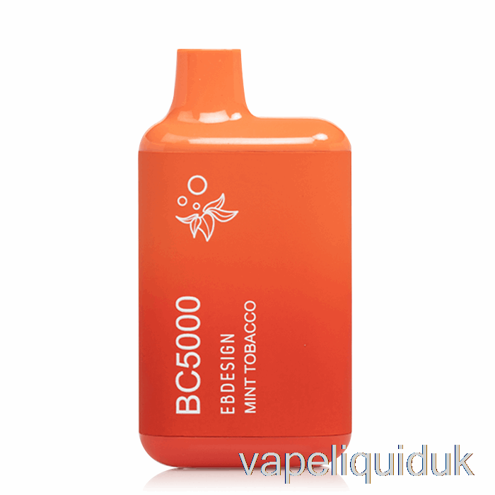 BC5000 Disposable Mint Tobacco Vape Liquid
